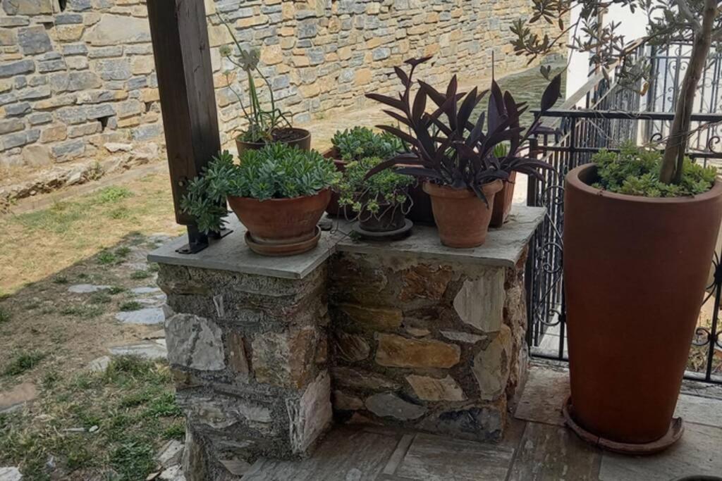 Pelion Cottage Miléai Extérieur photo